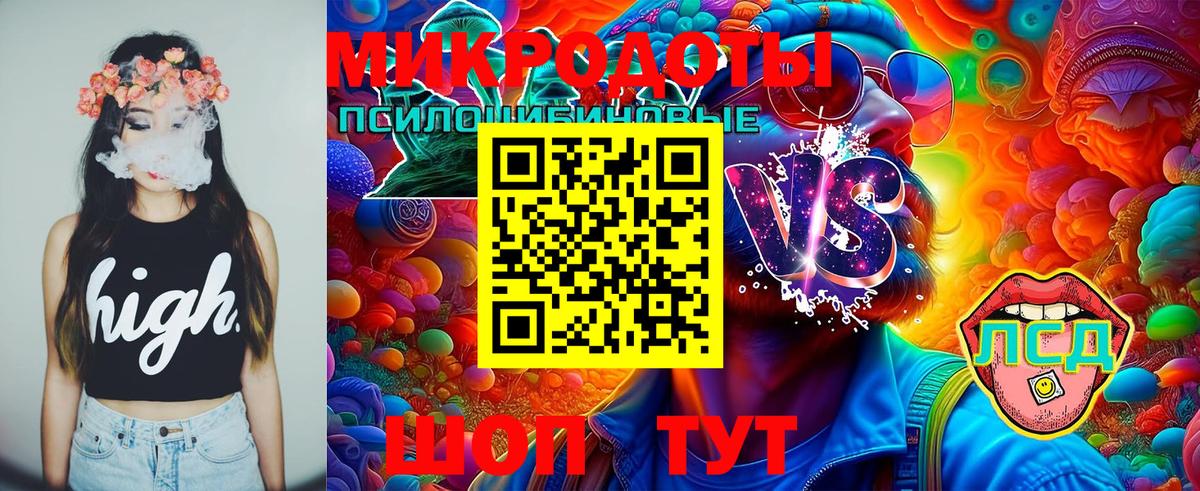 Псилоцибиновые грибы GOLDEN TEACHER  Вход с VPN  купить наркоту  Псилоцибиновые грибы прущие грибы  Малоярославец 